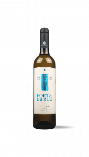 Quinta do Eidinho - Porta da Rua Douro 2021 Branco