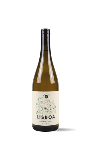 Hugo Mendes - Lisboa Branco 2023