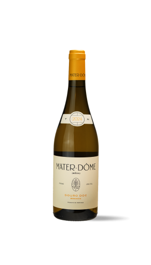 Mateus Nicolau de Almeida – Mater-Dôme Branco